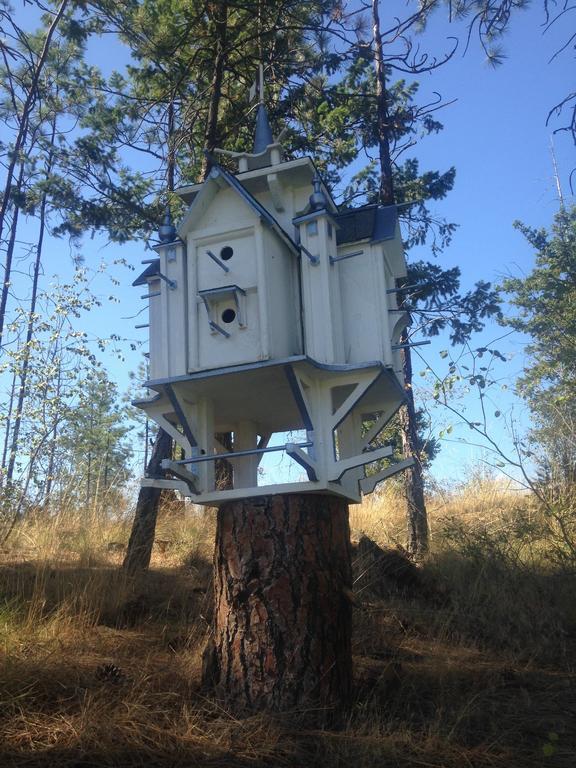 Eagle'S Nest B&B Lake Country エクステリア 写真