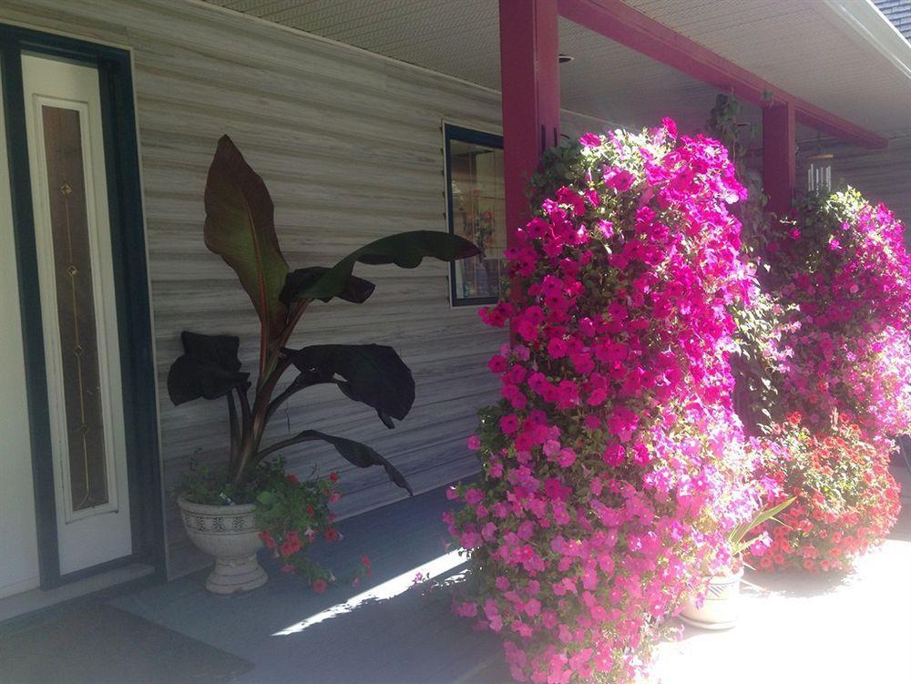 Eagle'S Nest B&B Lake Country エクステリア 写真